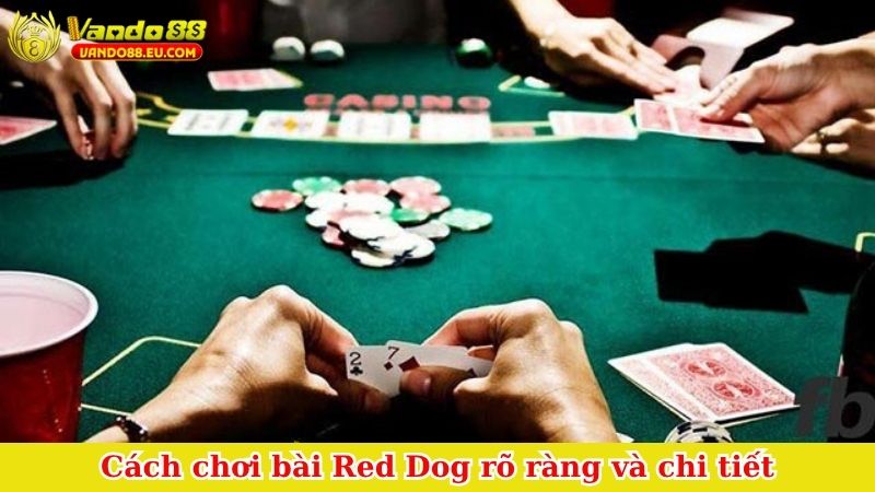 Cách chơi bài Red Dog rõ ràng và chi tiết
