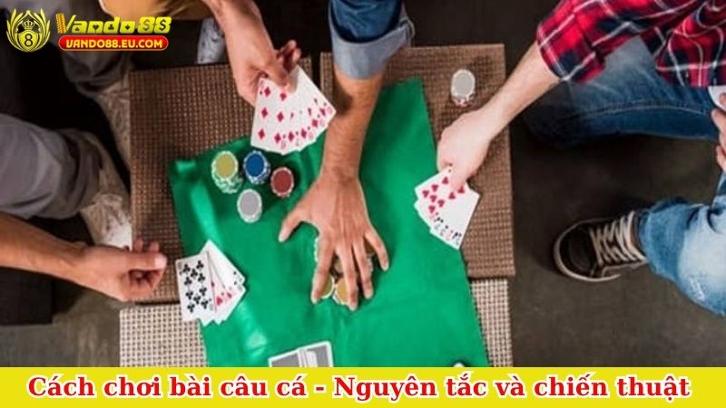 Cách chơi bài câu cá
