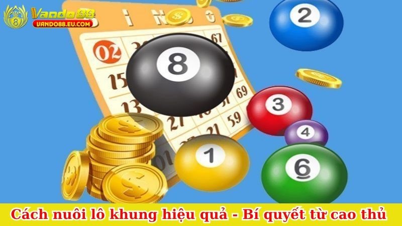 Cách nuôi lô khung hiệu quả