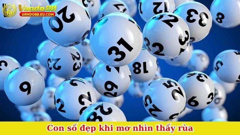 Con số đẹp khi mơ nhìn thấy rùa