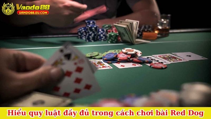Hiểu quy luật đầy đủ trong cách chơi bài Red Dog