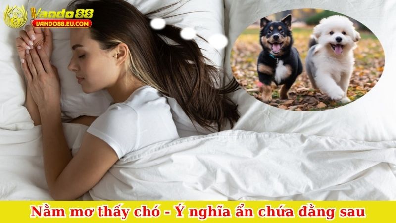 Nằm mơ thấy chó
