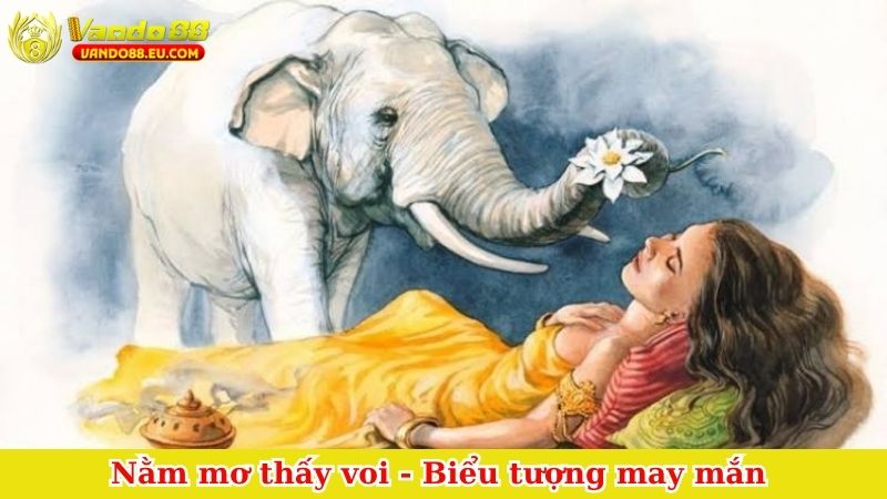 Nằm mơ thấy voi