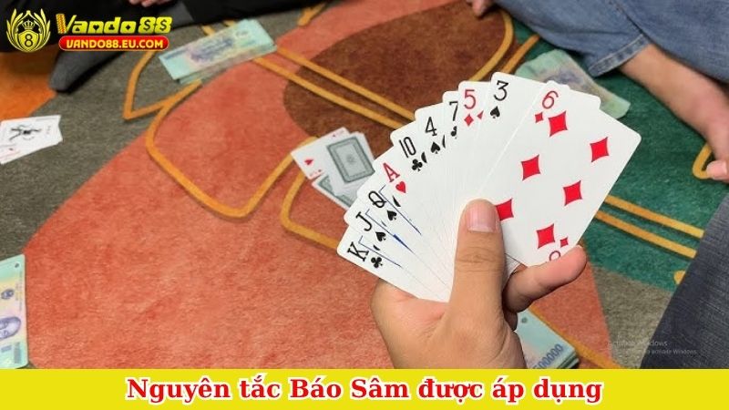 Nguyên tắc Báo Sâm được áp dụng