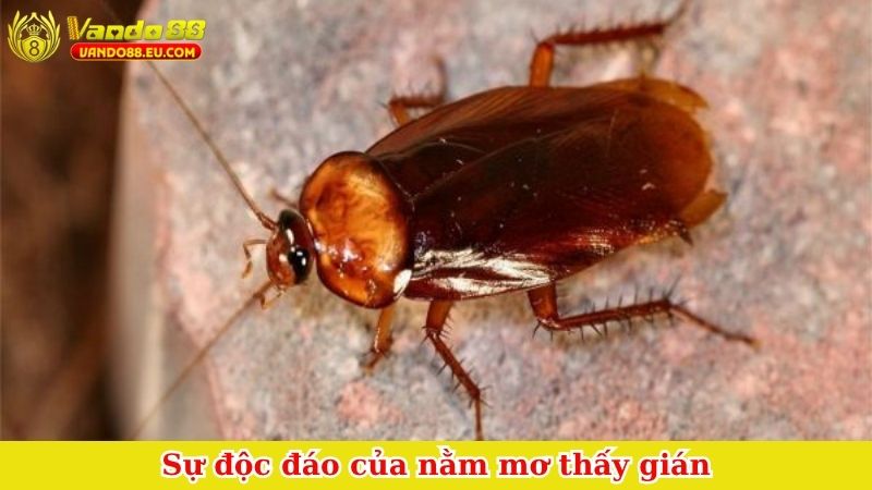 Sự độc đáo của nằm mơ thấy gián