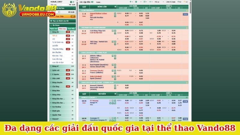 Đa dạng các giải đấu quốc gia tại thể thao Vando88