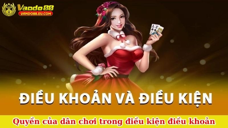Quyền của dân chơi trong điều kiện điều khoản